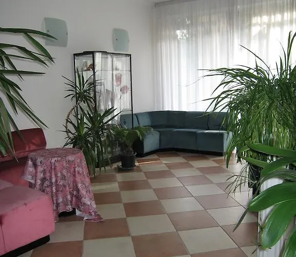 Boomerang - Check-in & Meals In Front At Sporting